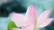 电动缸的分类和特点